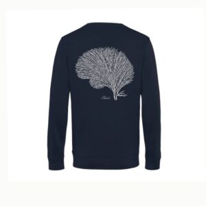 Sweater Coral Brain